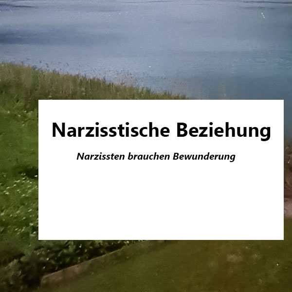 narzisstische Beziehung fehlende Wertschätzung in Beziehung und Partnerschaft Psychotherapie nach HPG Heilpraktikergesetz Jürgen Junker Diplom Psychologe Aschaffenburg